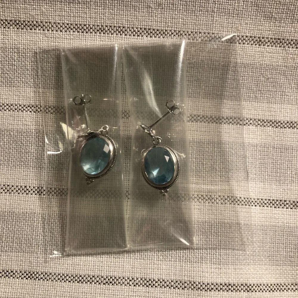 Blue Earrings - Picture 2 of 3